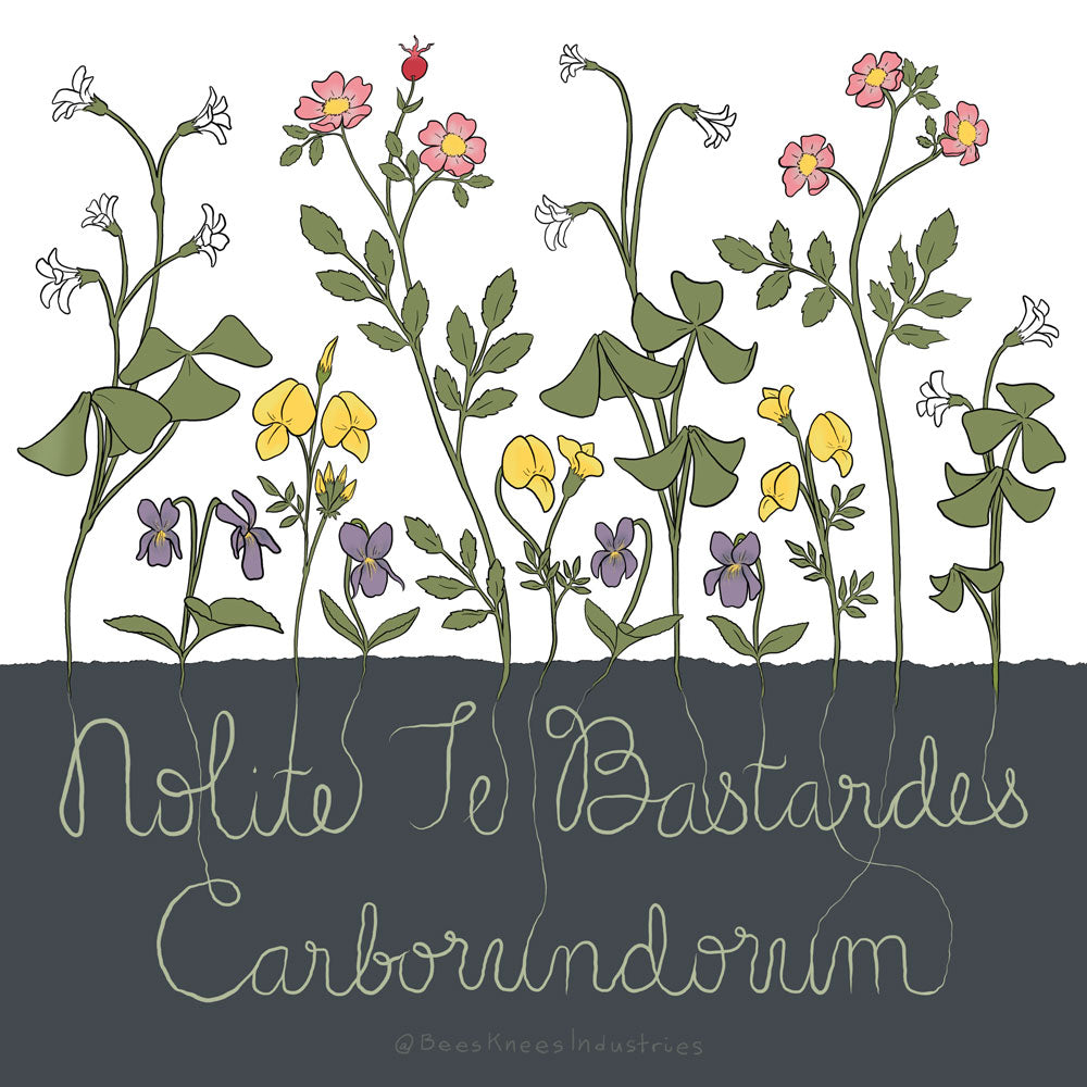 Printable Artwork: Nolite Te Bastardes Carborundorum