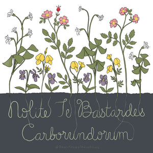 Printable Artwork: Nolite Te Bastardes Carborundorum